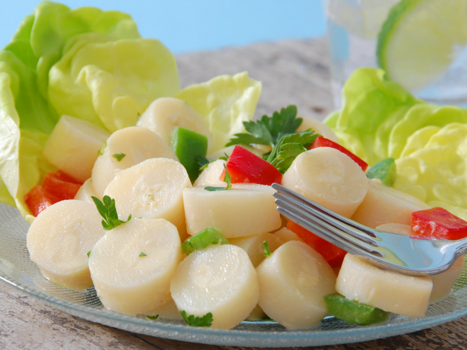 palmito em conserva e diferentes formas de uso na cozinha