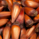 pinhão benefícios e receitas